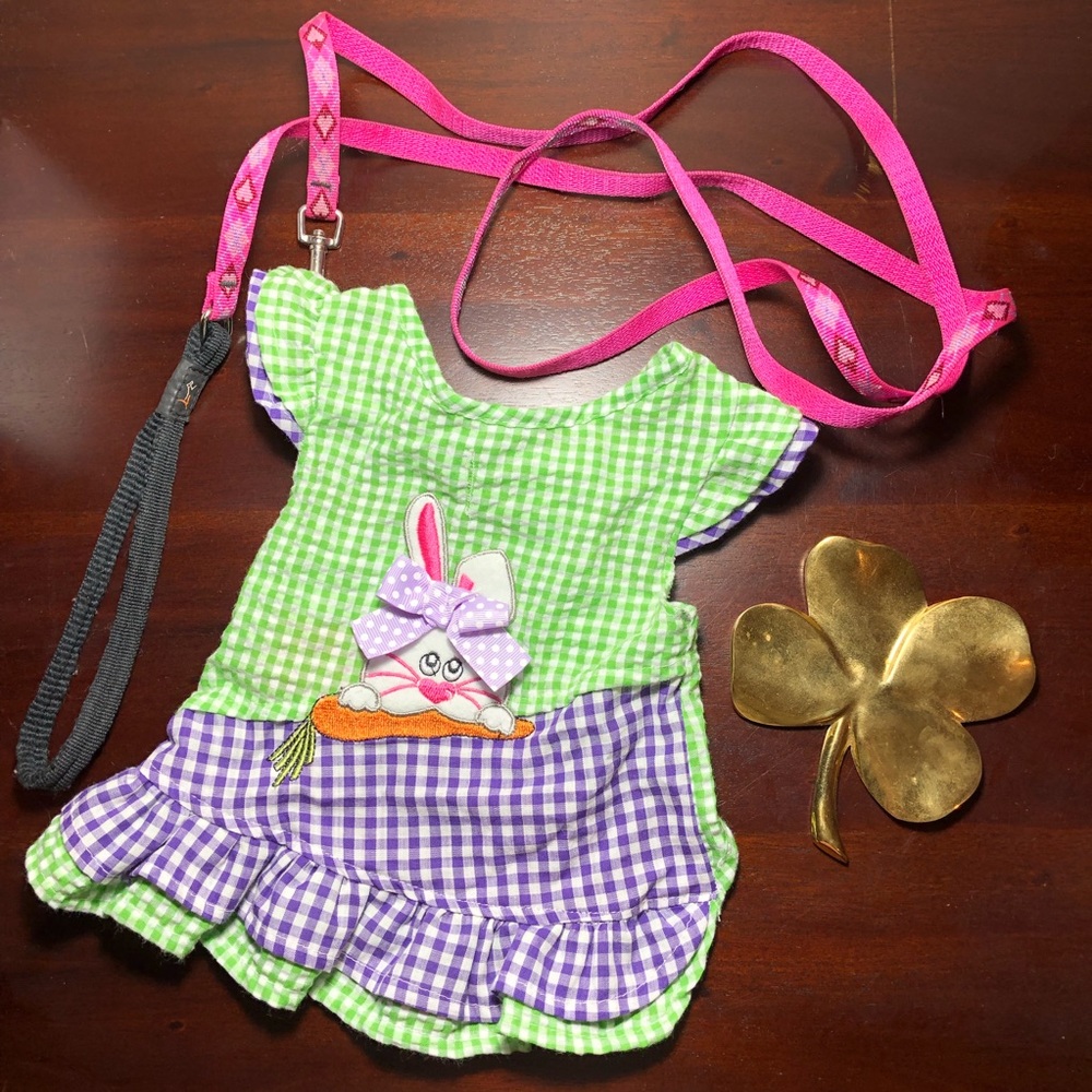 Dog Shirt - Sassy Rascal - Sz S